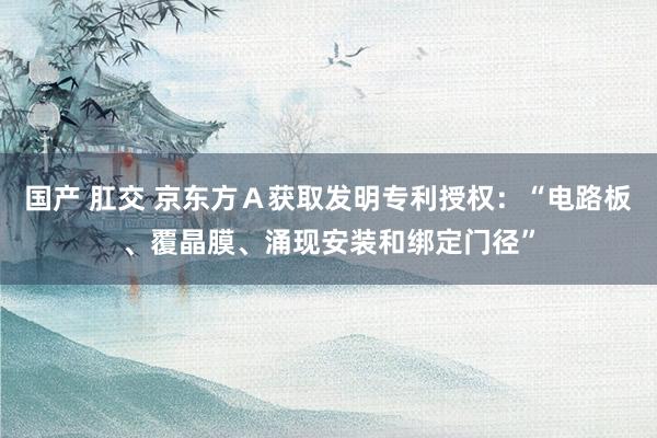 国产 肛交 京东方Ａ获取发明专利授权：“电路板、覆晶膜、涌现安装和绑定门径”