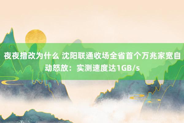 夜夜撸改为什么 沈阳联通收场全省首个万兆家宽自动怒放：实测速度达1GB/s