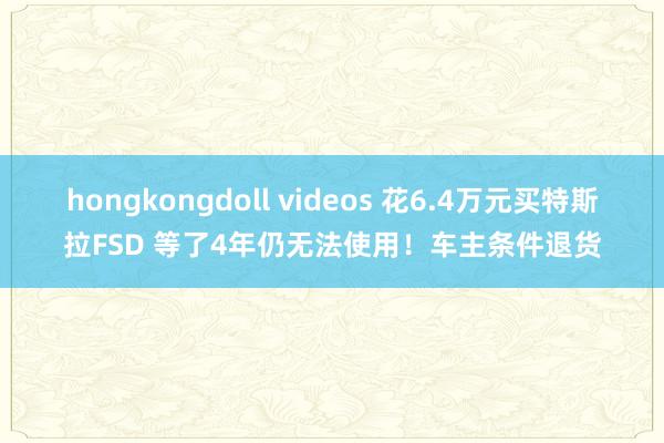 hongkongdoll videos 花6.4万元买特斯拉FSD 等了4年仍无法使用！车主条件退货