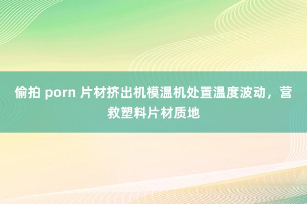 偷拍 porn 片材挤出机模温机处置温度波动，营救塑料片材质地
