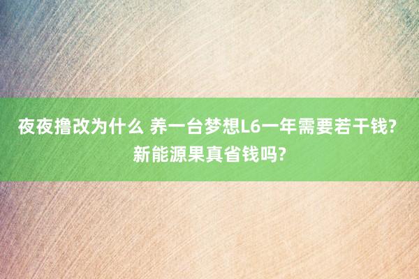 夜夜撸改为什么 养一台梦想L6一年需要若干钱? 新能源果真省钱吗?