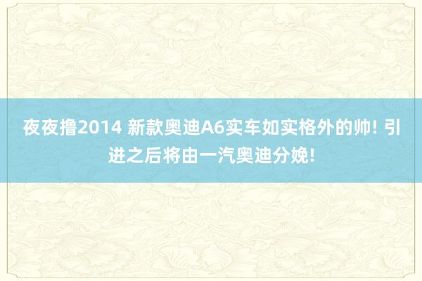夜夜撸2014 新款奥迪A6实车如实格外的帅! 引进之后将由一汽奥迪分娩!