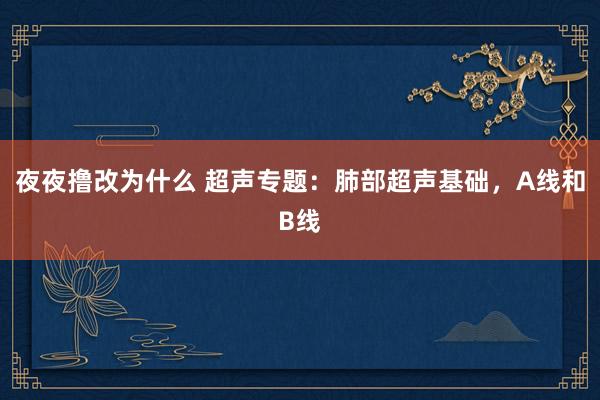 夜夜撸改为什么 超声专题：肺部超声基础，A线和B线
